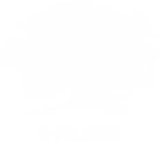A white background with a single word on it.